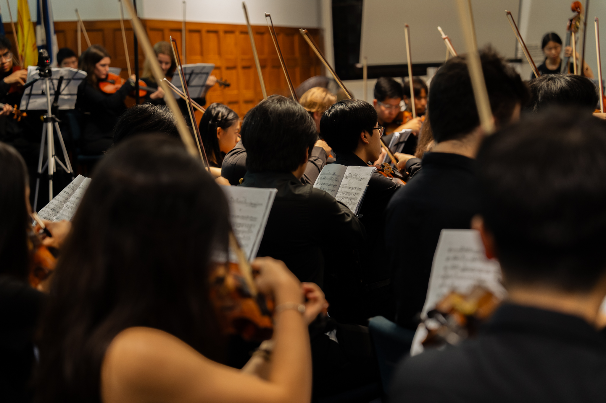 Concert Photos Card background image